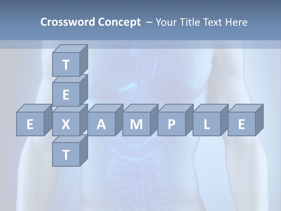 Isolated Pain Organ PowerPoint Template