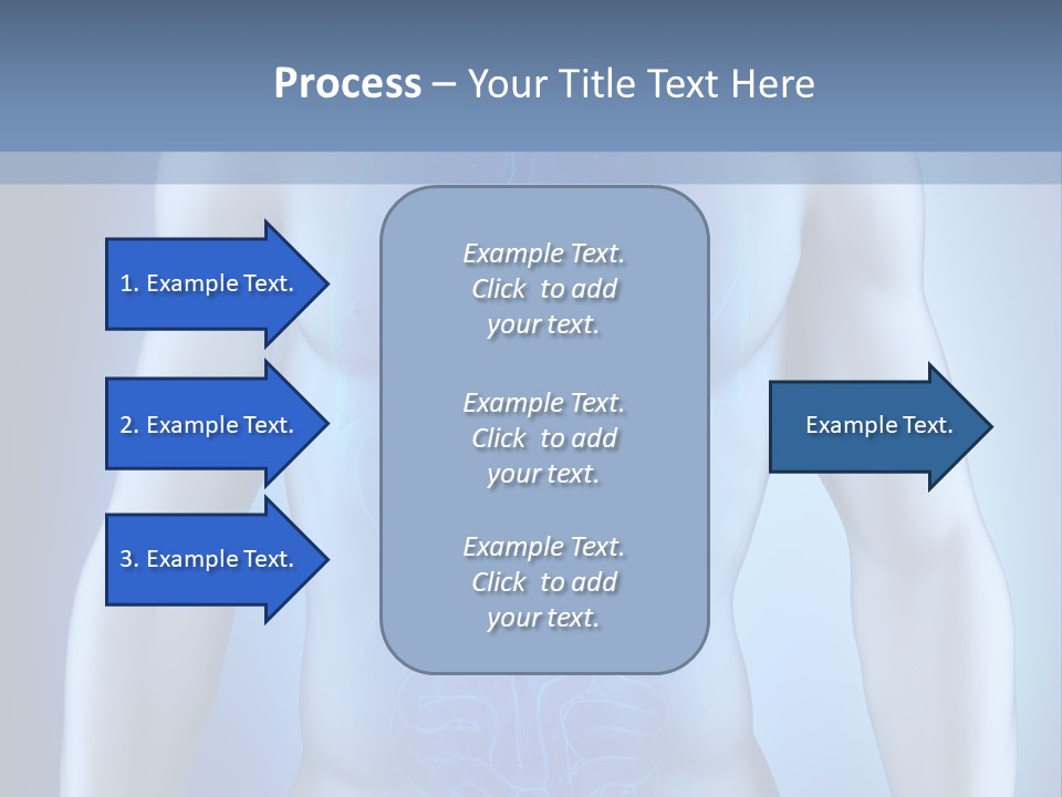 Isolated Pain Organ PowerPoint Template