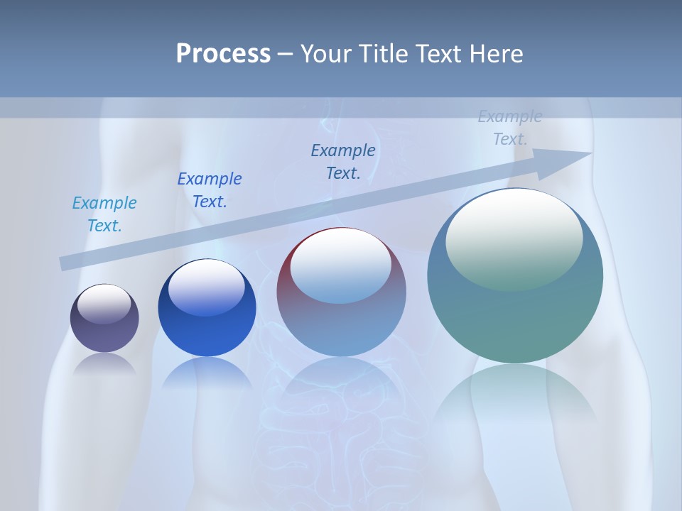 Isolated Pain Organ PowerPoint Template