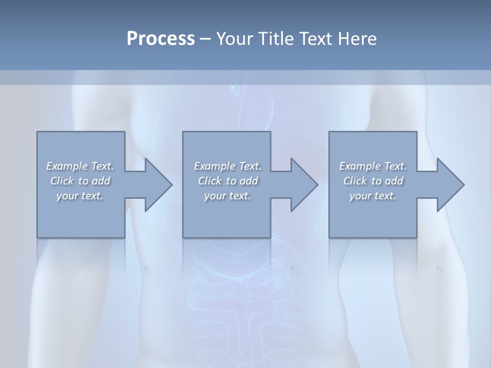 Isolated Pain Organ PowerPoint Template