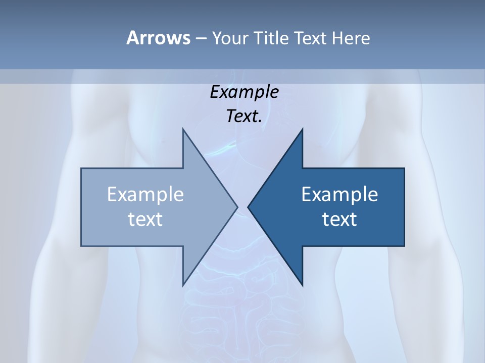 Isolated Pain Organ PowerPoint Template