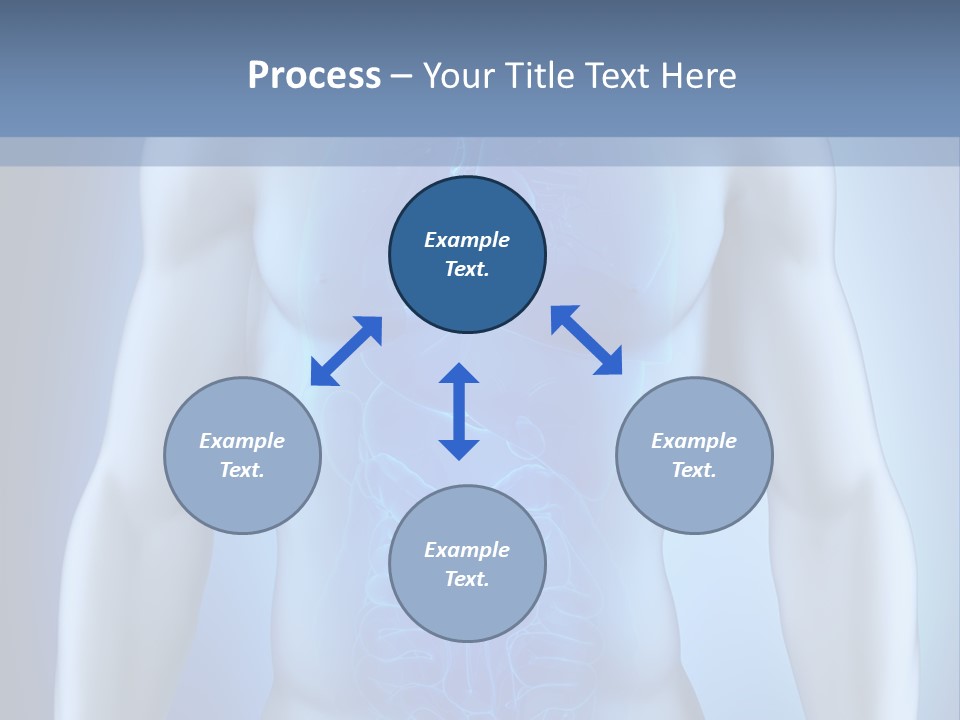 Isolated Pain Organ PowerPoint Template