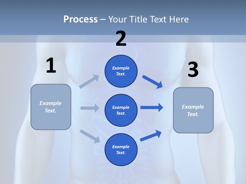 Isolated Pain Organ PowerPoint Template