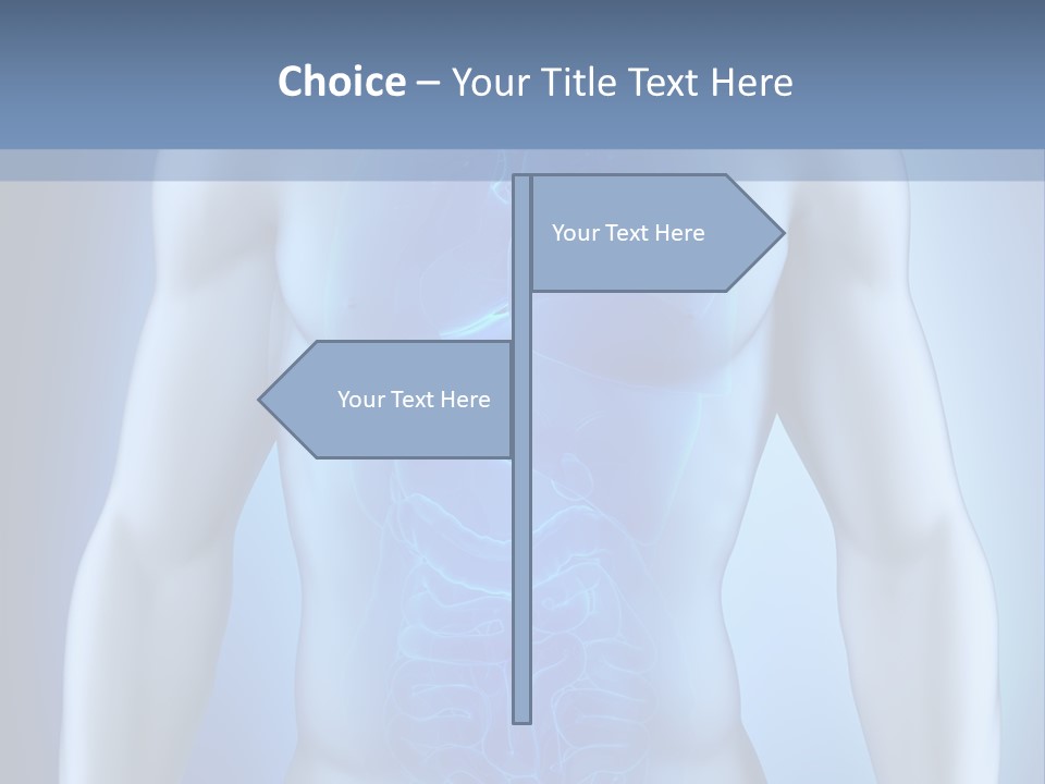 Isolated Pain Organ PowerPoint Template
