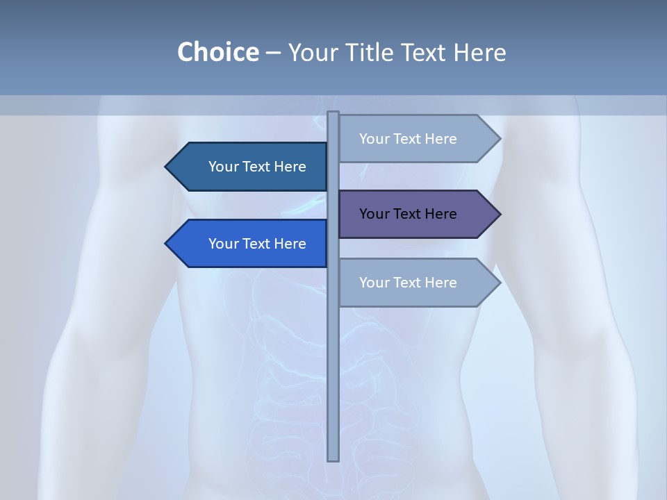 Isolated Pain Organ PowerPoint Template