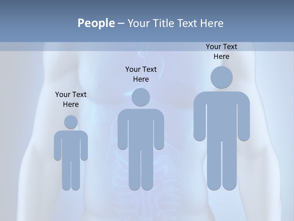 Isolated Pain Organ PowerPoint Template