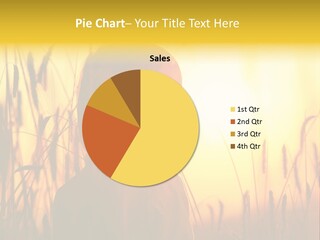 Ecology Hot Future PowerPoint Template