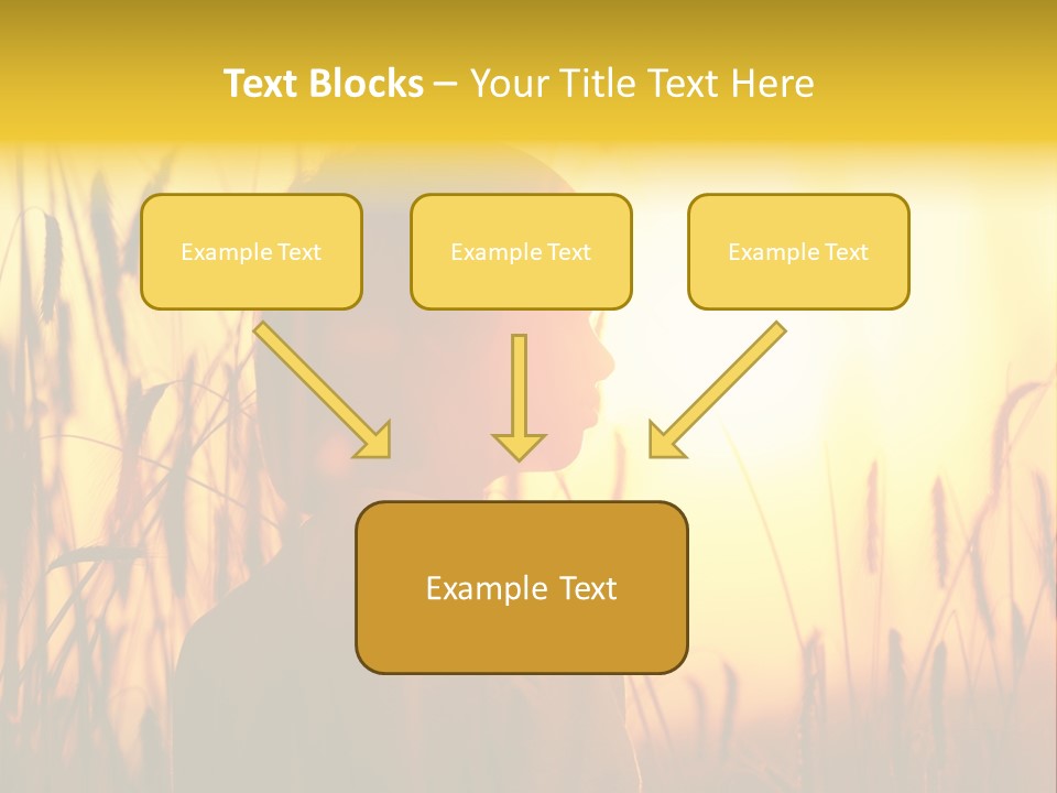 Ecology Hot Future PowerPoint Template