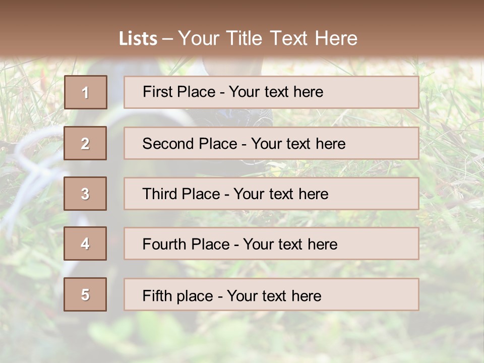 Chinese Pathway Strong PowerPoint Template