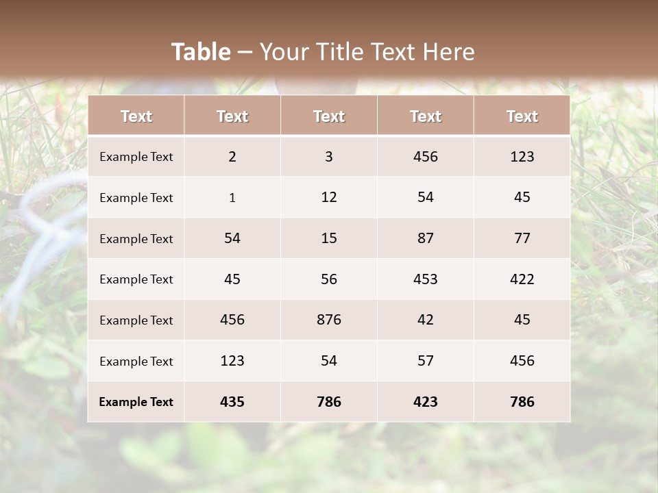 Chinese Pathway Strong PowerPoint Template