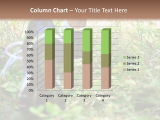 Chinese Pathway Strong PowerPoint Template