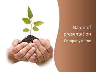 Environment Sapling Concepts PowerPoint Template