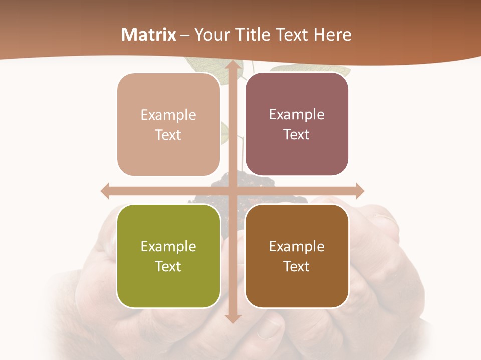 Environment Sapling Concepts PowerPoint Template