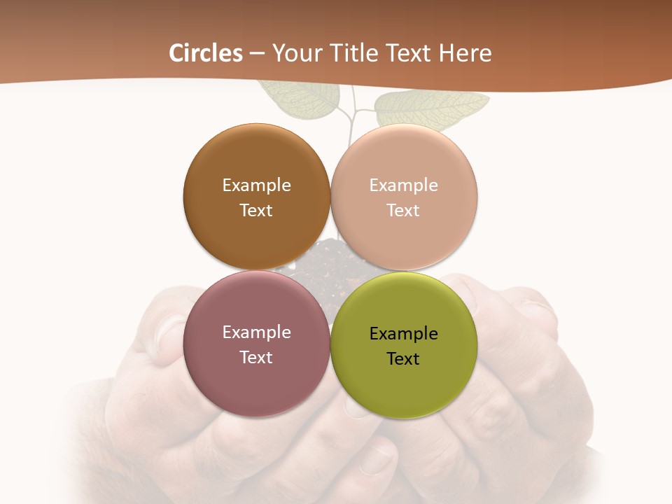 Environment Sapling Concepts PowerPoint Template