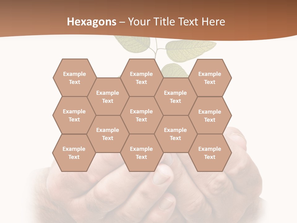 Environment Sapling Concepts PowerPoint Template