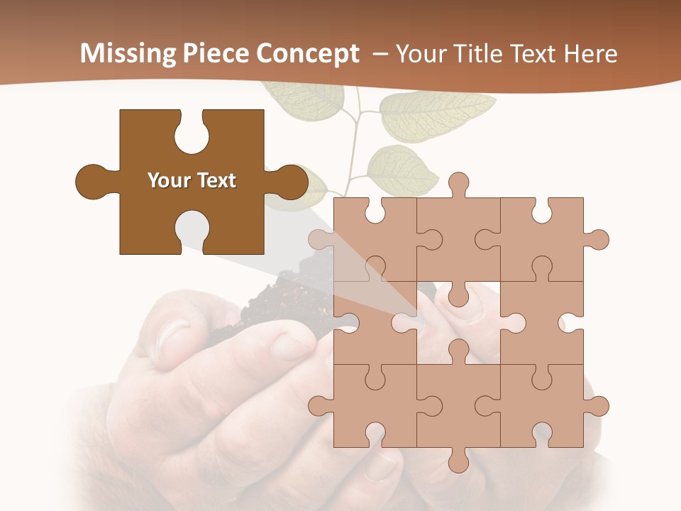 Environment Sapling Concepts PowerPoint Template