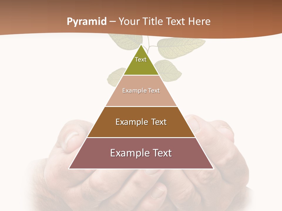 Environment Sapling Concepts PowerPoint Template