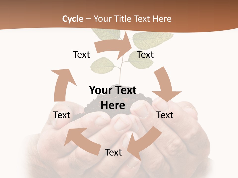 Environment Sapling Concepts PowerPoint Template