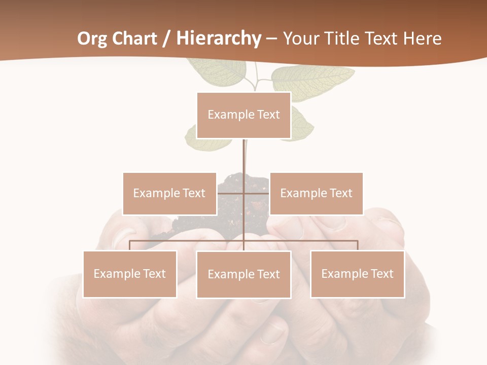 Environment Sapling Concepts PowerPoint Template