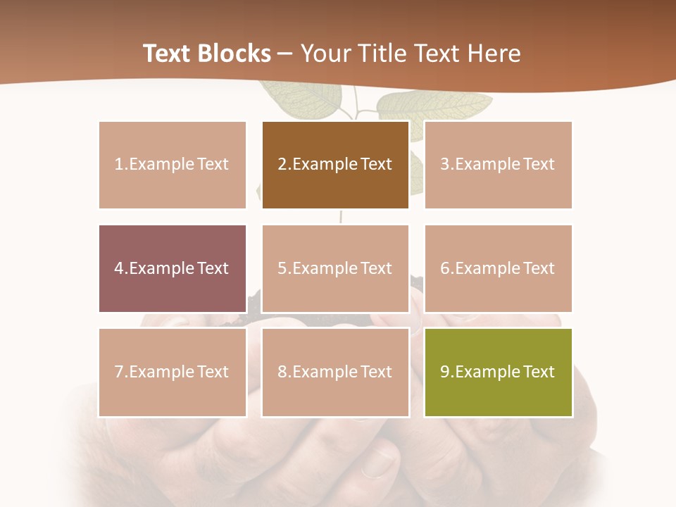Environment Sapling Concepts PowerPoint Template