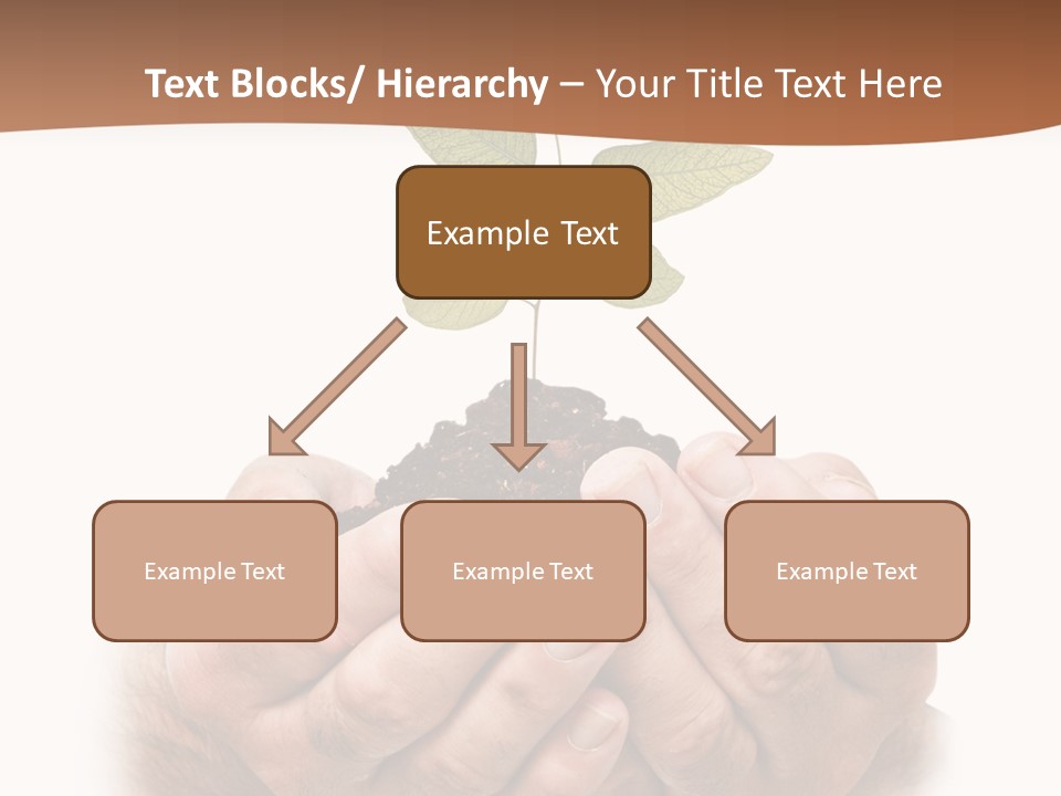 Environment Sapling Concepts PowerPoint Template