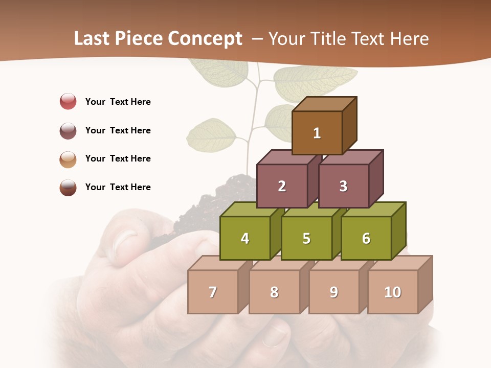 Environment Sapling Concepts PowerPoint Template