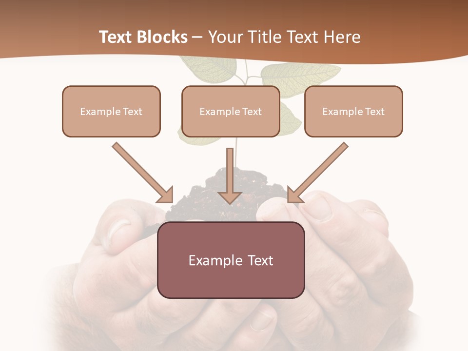 Environment Sapling Concepts PowerPoint Template