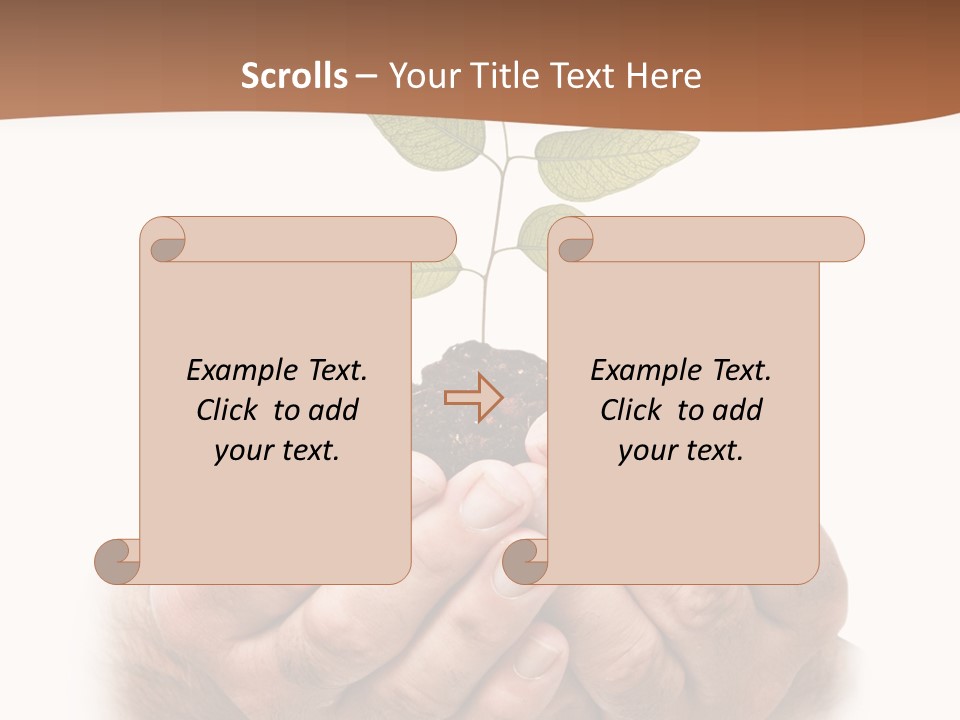 Environment Sapling Concepts PowerPoint Template