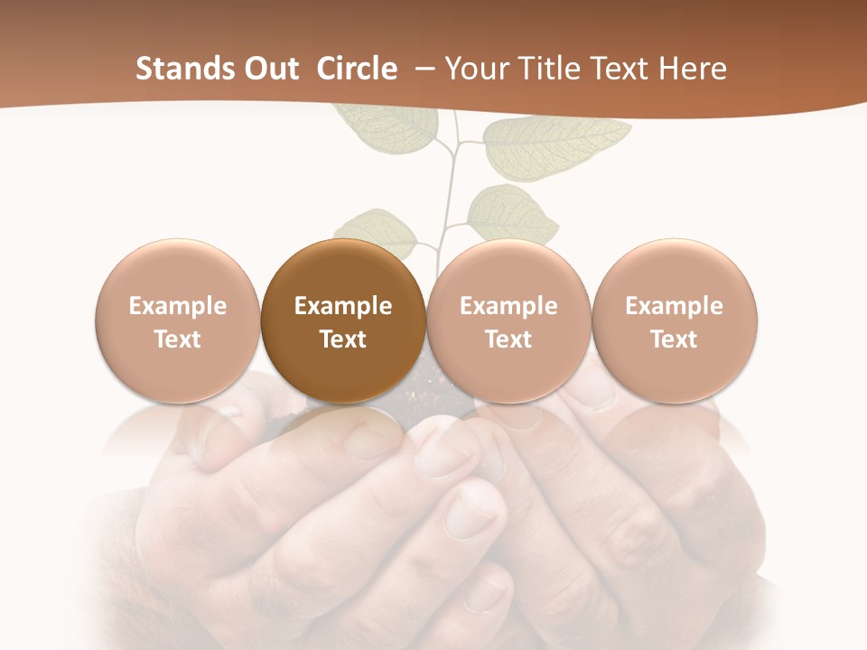 Environment Sapling Concepts PowerPoint Template