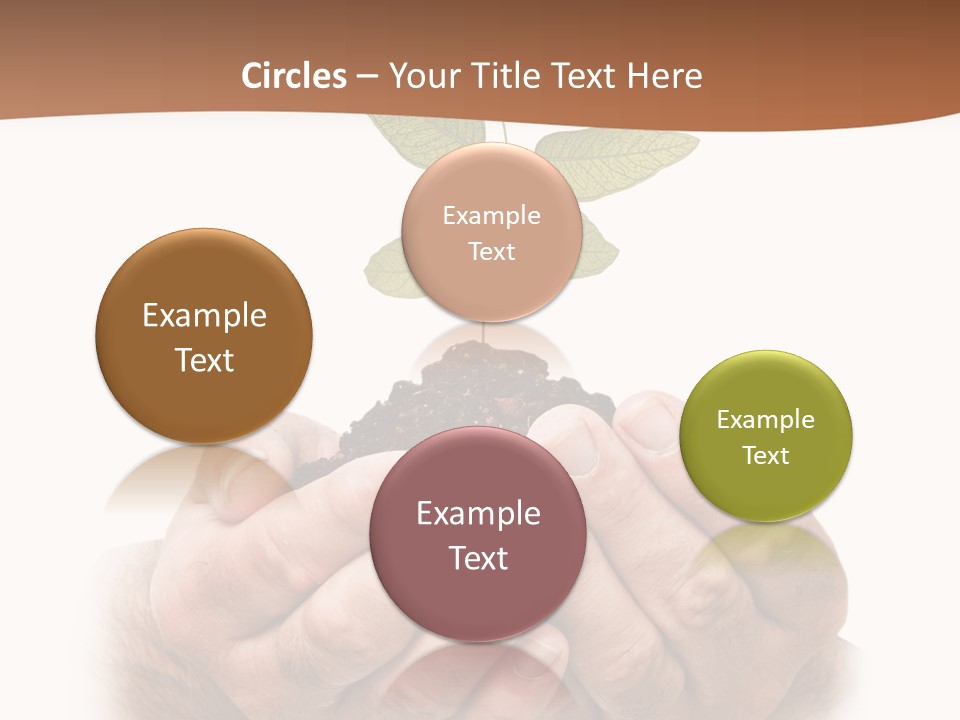 Environment Sapling Concepts PowerPoint Template