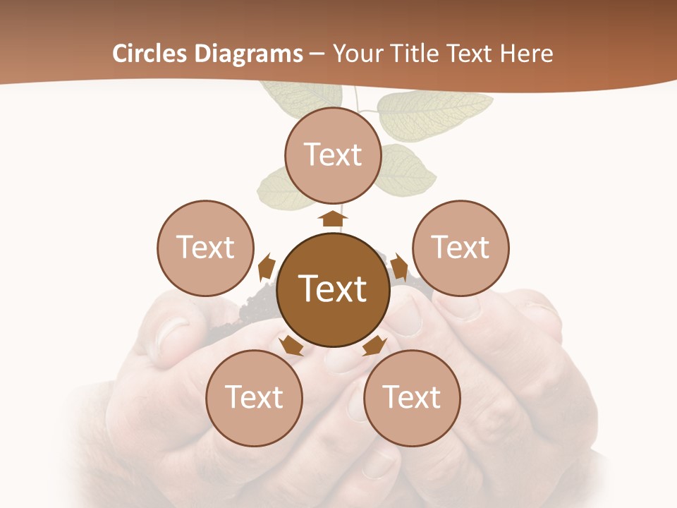 Environment Sapling Concepts PowerPoint Template