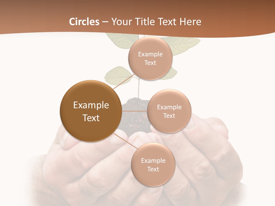 Environment Sapling Concepts PowerPoint Template