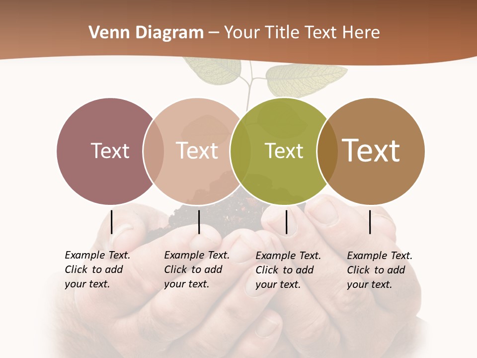 Environment Sapling Concepts PowerPoint Template