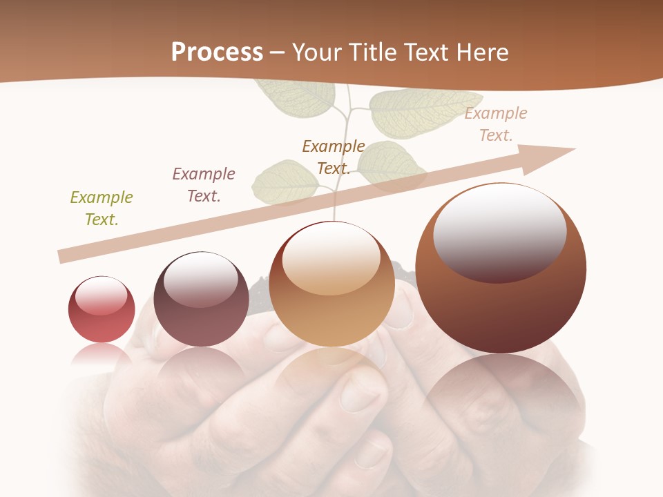Environment Sapling Concepts PowerPoint Template