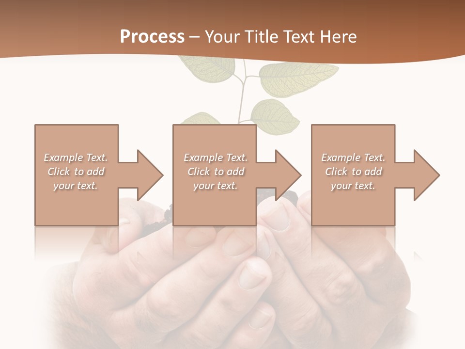 Environment Sapling Concepts PowerPoint Template
