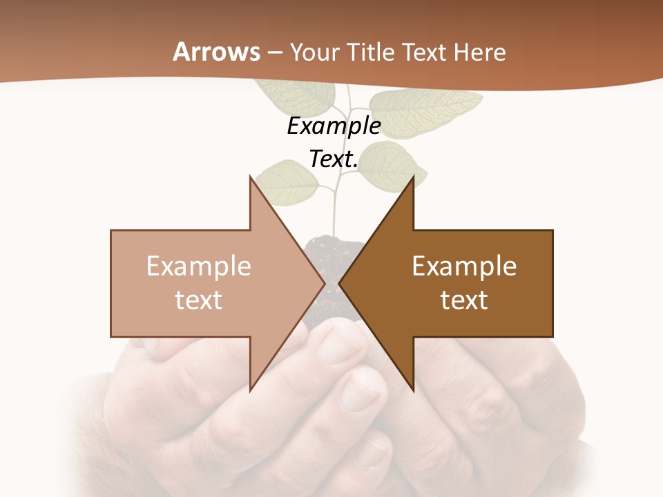 Environment Sapling Concepts PowerPoint Template