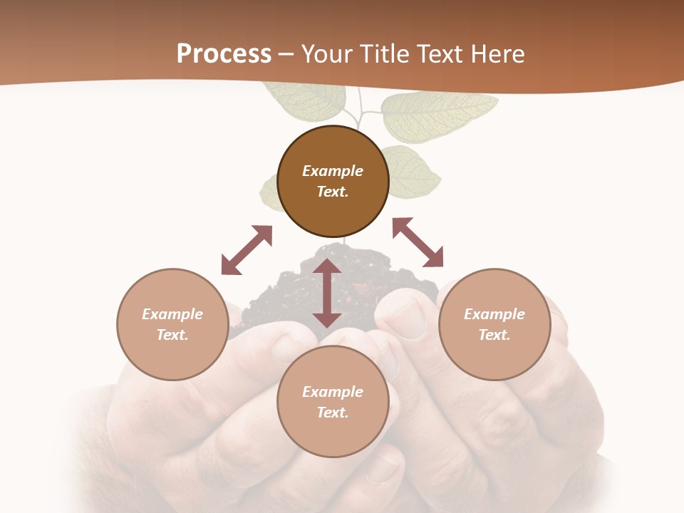 Environment Sapling Concepts PowerPoint Template