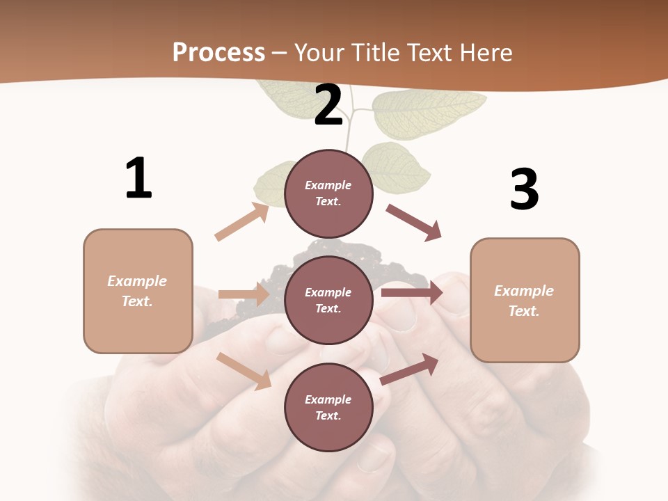 Environment Sapling Concepts PowerPoint Template