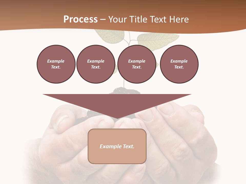 Environment Sapling Concepts PowerPoint Template