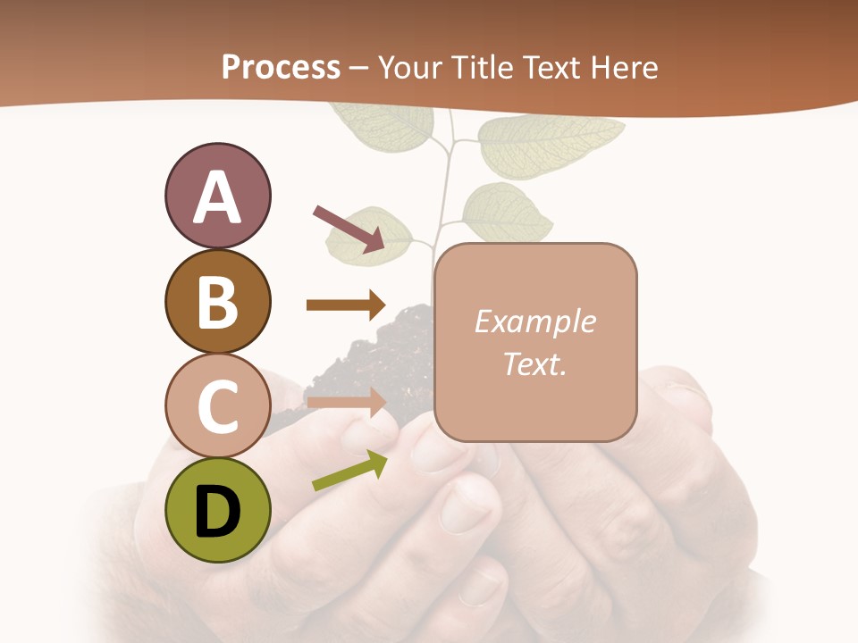 Environment Sapling Concepts PowerPoint Template