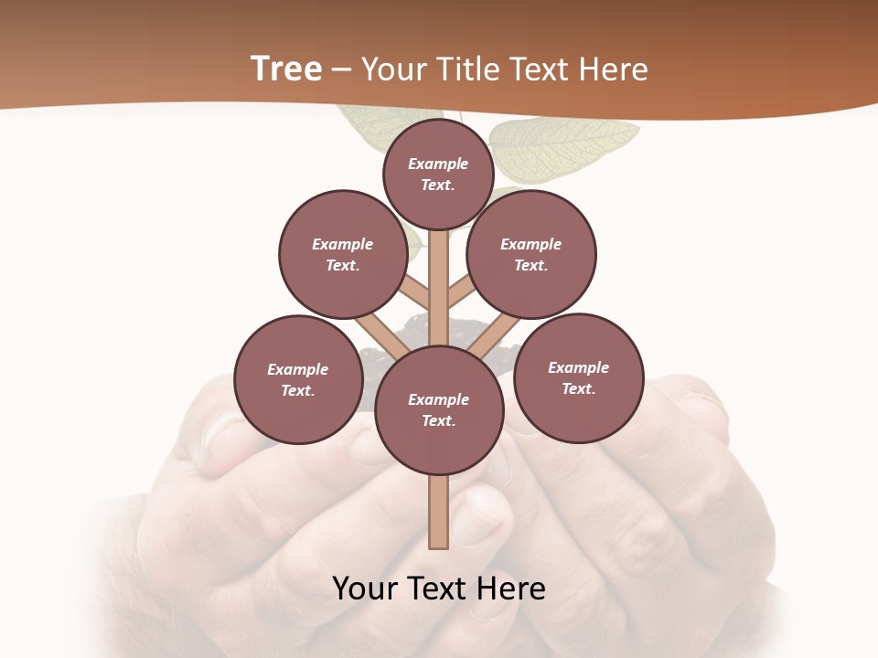 Environment Sapling Concepts PowerPoint Template