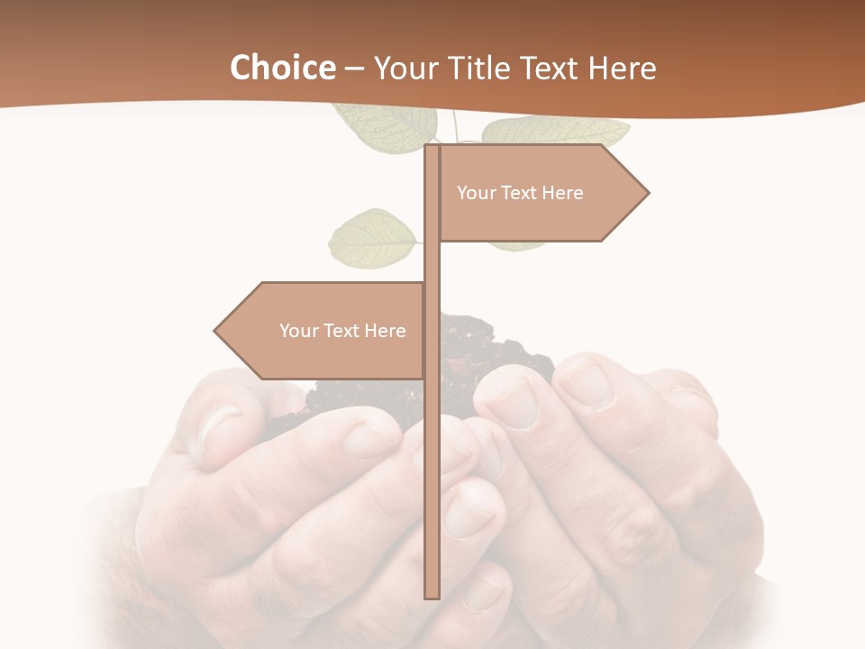 Environment Sapling Concepts PowerPoint Template