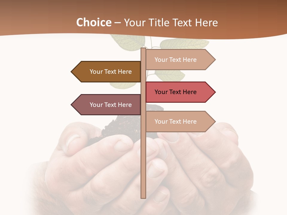 Environment Sapling Concepts PowerPoint Template