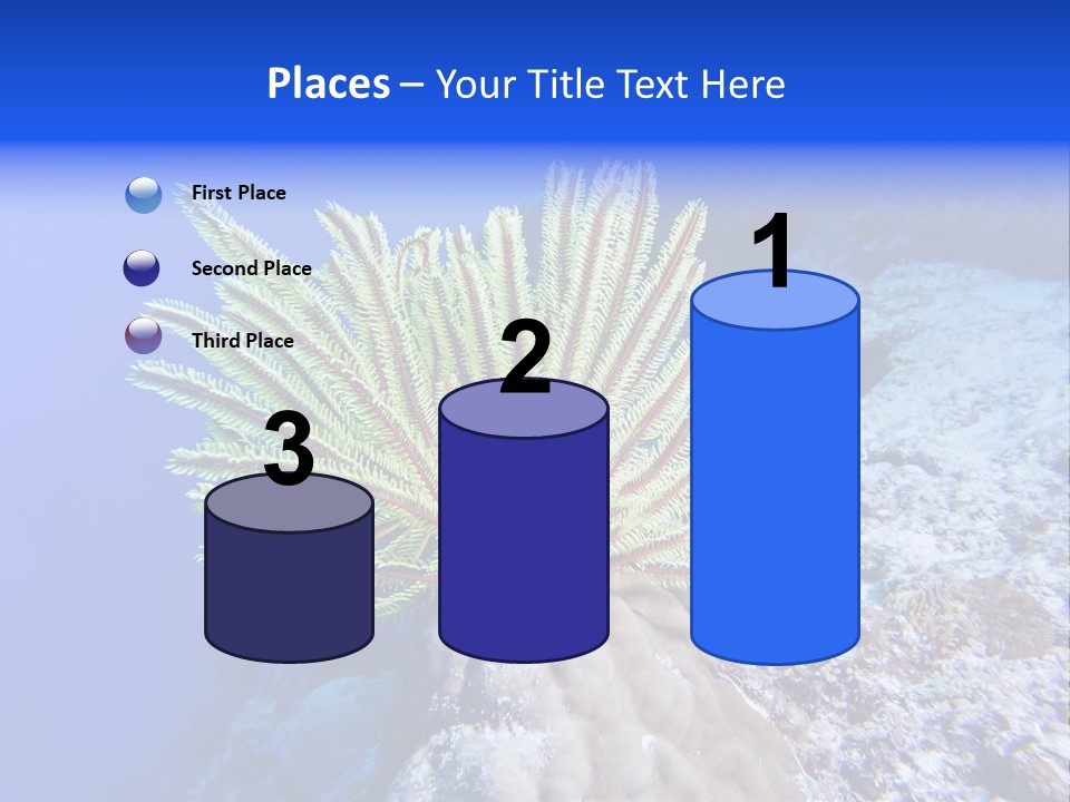 Undersea Colorful Soft PowerPoint Template