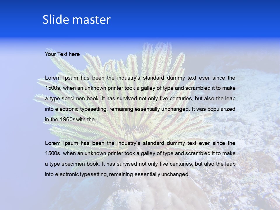 Undersea Colorful Soft PowerPoint Template