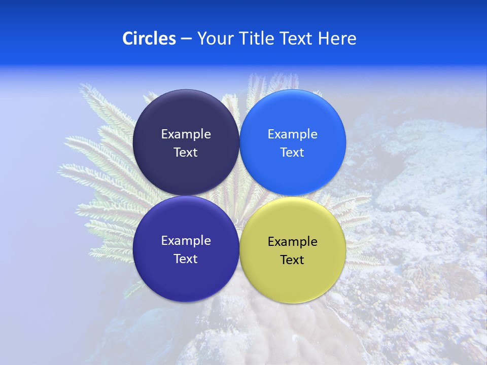 Undersea Colorful Soft PowerPoint Template