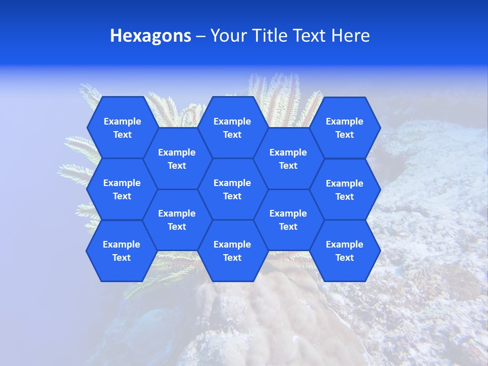 Undersea Colorful Soft PowerPoint Template