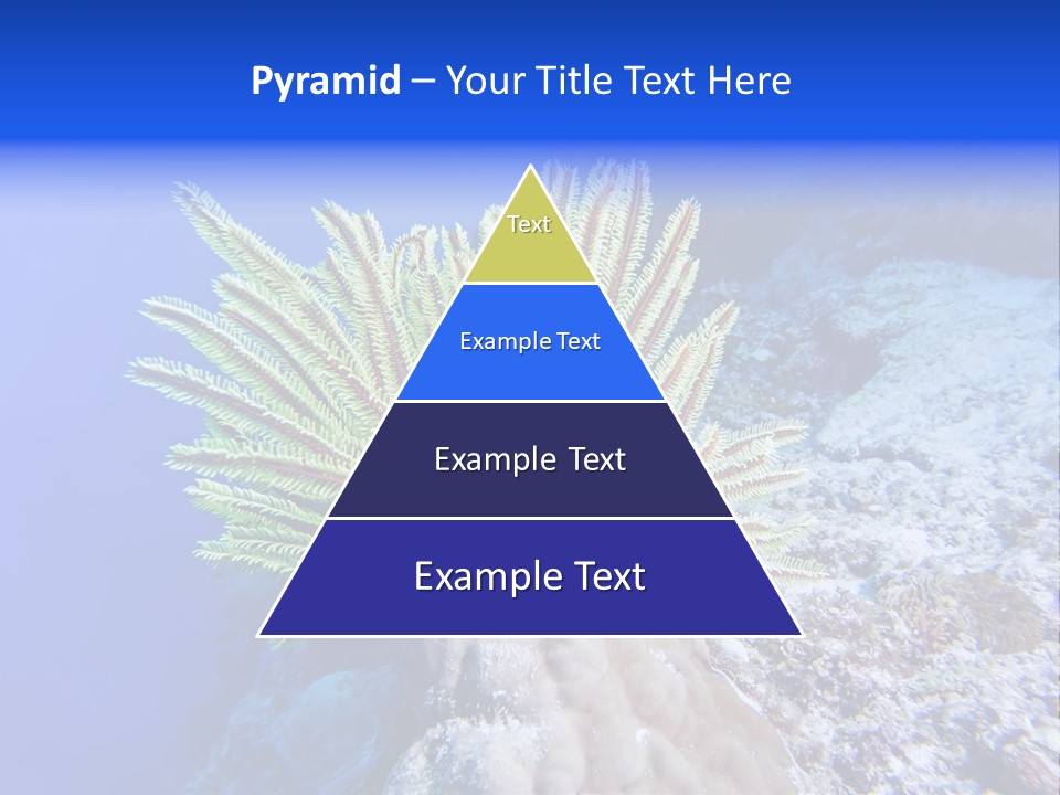 Undersea Colorful Soft PowerPoint Template