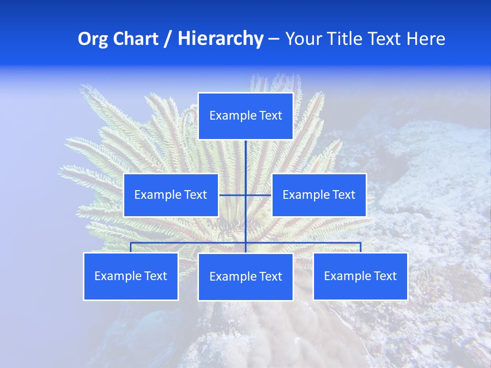 Undersea Colorful Soft PowerPoint Template