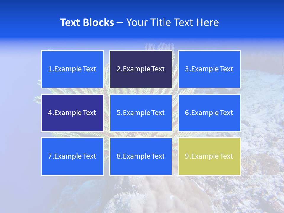 Undersea Colorful Soft PowerPoint Template